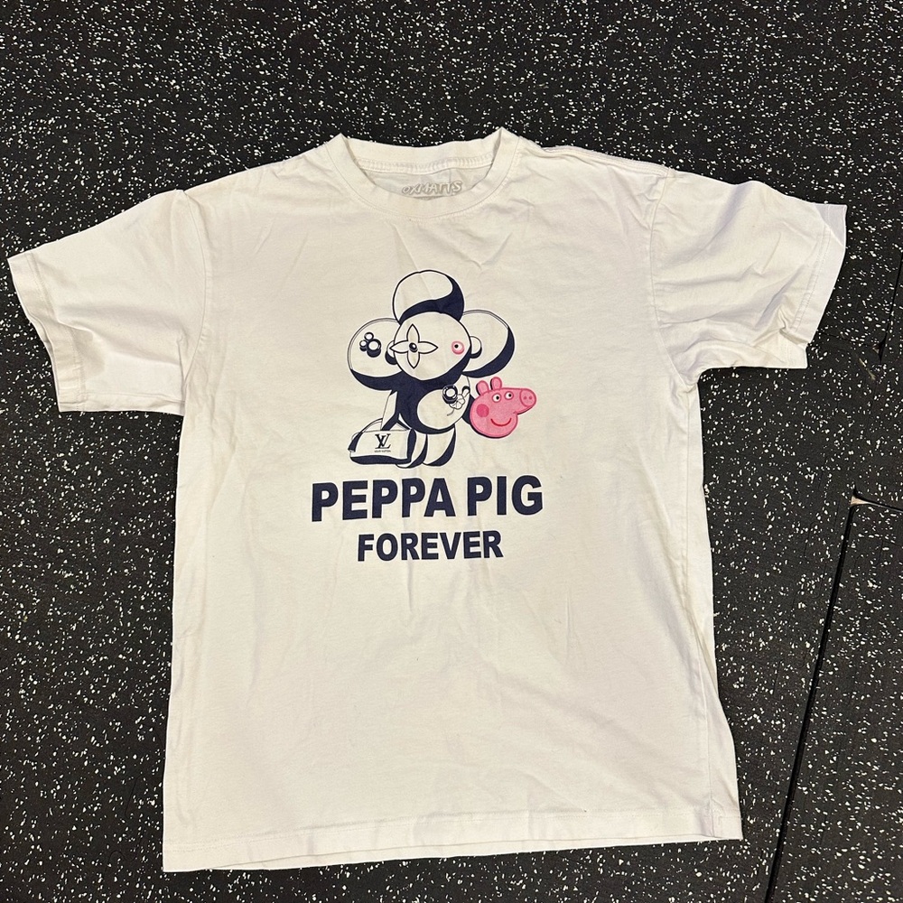 Graphic tee shirts